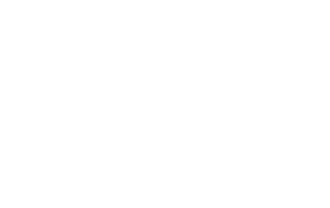 logotyp för cev-consulting